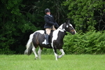 WJ7_3239