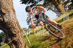 GVC MTB XC Summer Crit-22