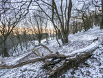 0637 Ragleth Wood