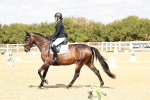 SBM_018200