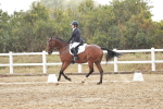 SBM_003881