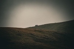 DSCF4202