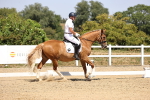 SBM_004904