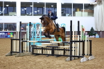 SBM_002770