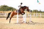 SBM_001347