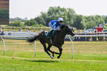 150726-Race 2-South West-2967