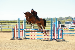 SBM_000561