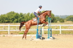 SBM_000647