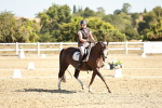 SBM_017383