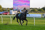 300926-Race 8-Jojo Rabbit-7191