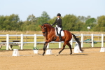 SBM_010575