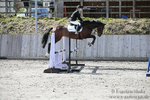 BVRC SJ 170319 598