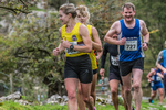 Dovedale Dash-980