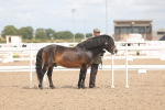 SBM_04925