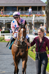 Race 4 15.55pm Laura Barry Memorial Handicap portfolio