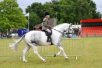SBM_02502