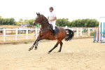SBM_003741