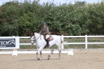 SBM_002006
