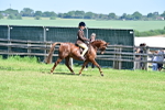 SBM_13962