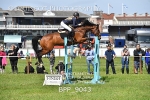 BPP_9043