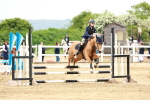 SBM_008474