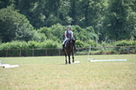 WJ6_8004