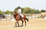 SBM_002961