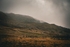 DSCF4196