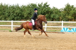 SBM_002634