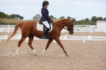 SBM_05623