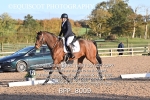 BPP_8009