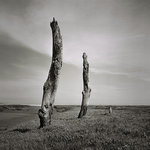 Thornham Salt Marsh #1