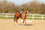 SBM_003440