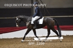 BPP_2399
