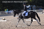 BPP_9404
