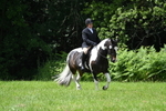WJ7_2663