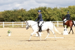 SBM_010087