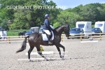 BPP_0529