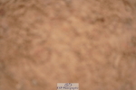 240506A-084730-07824