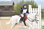 40cm Showjumping portfolio