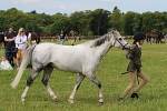SIAL3128