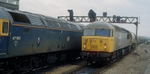 11th March 1988
