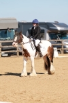 SBM_010445