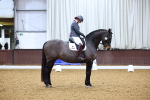 SBM_001335