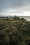 Llanddwyn