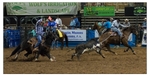Team Roping 3