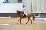 SBM_011406