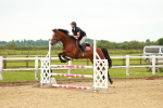 SBM_001982