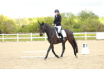 SBM_000767