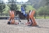 BPP_7642